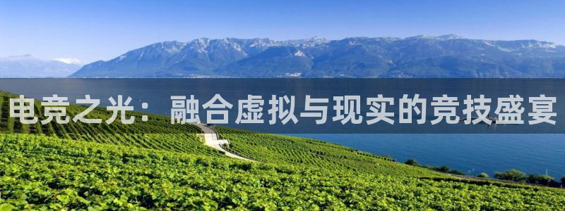 安博电竞官网入口