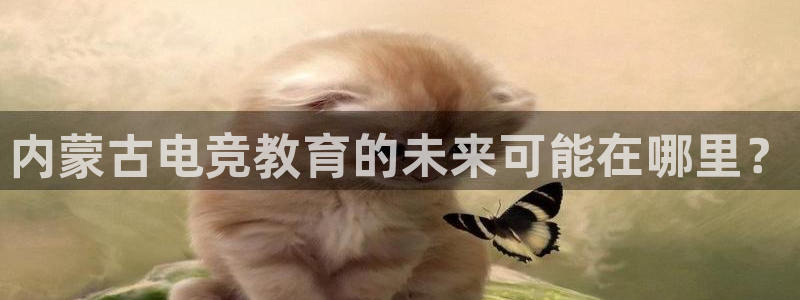 安博电竞手机版技官网：内蒙古电竞教育的未来可能在哪里？