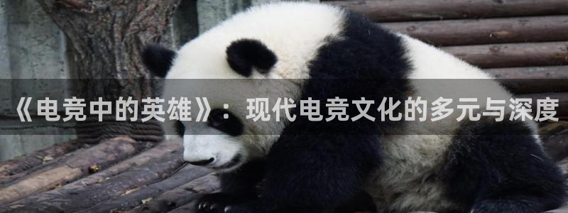 安博电竞吧：《电竞中的英雄》：现代电竞文化的多元与深度