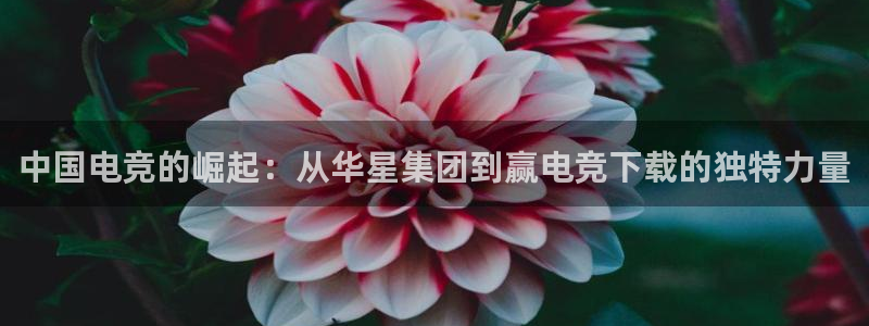 安博电竞怎么样安全吗：中国电竞的崛起：从华星集团到赢电竞下载的独特力量